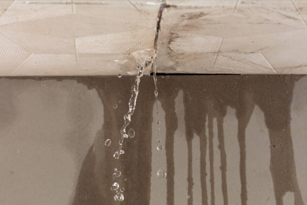 Professional Water Damage Repair technician working in Shamrock, TX